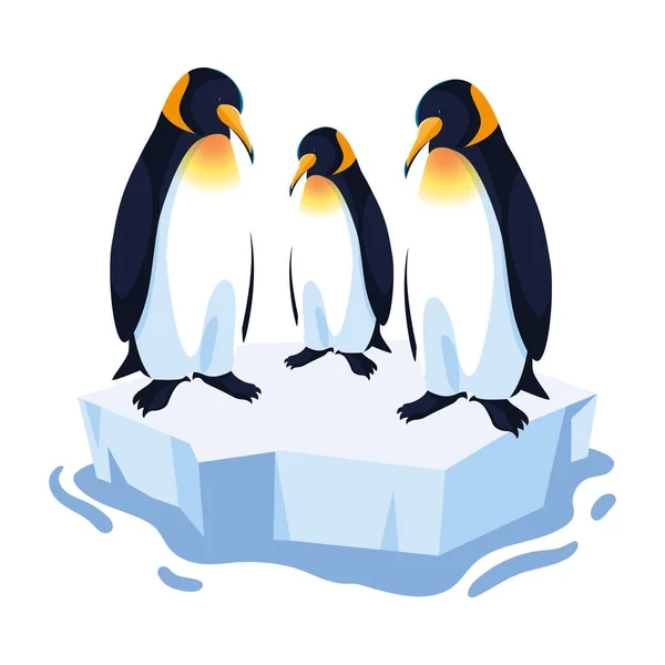 Tres pingüinos en un témpano a la deriva — Vector de stock