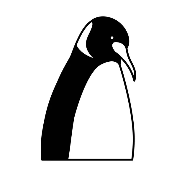 Emperor penguin on white background — ストックベクタ