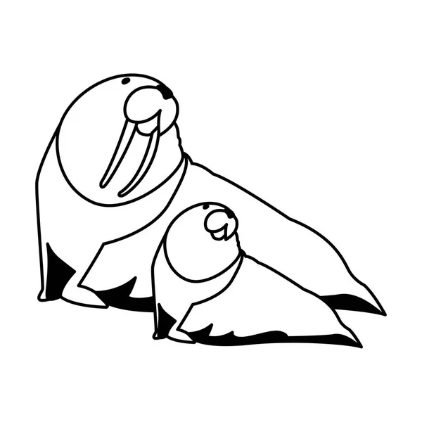 Walross mit Jungtier auf weißem Hintergrund — Stockvektor
