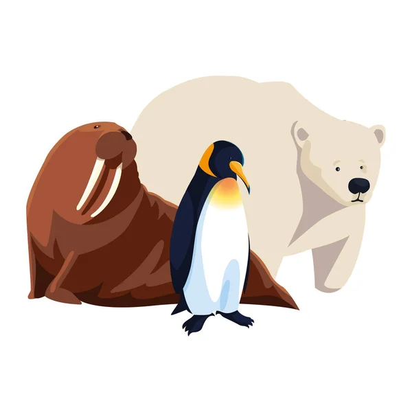 Animales árticos en un fondo blanco — Vector de stock