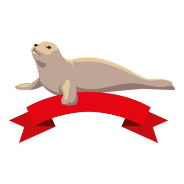 a seal fish on a white background