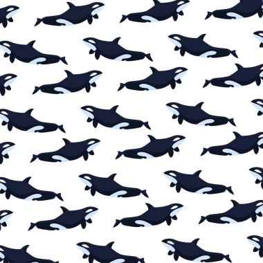 Beyaz arka planda katil balina deseni