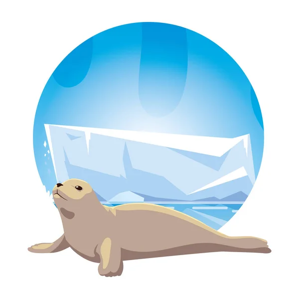 Seal at the north pole, arctic landscape — Stock vektor