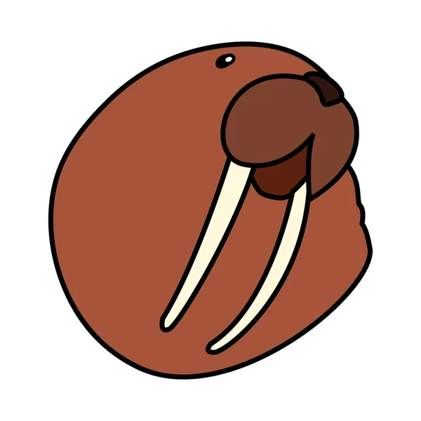 Head of walrus on a white background — Stok Vektör
