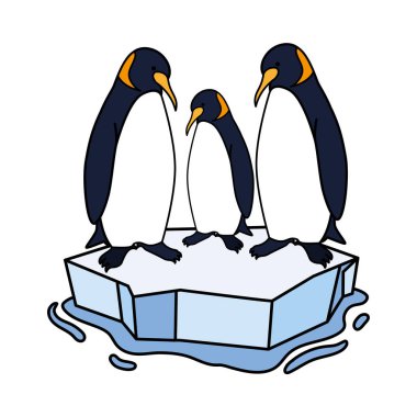 three penguin on an ice floe drifting