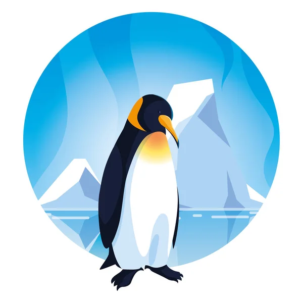 Penguin at the north pole, arctic landscape — 스톡 벡터
