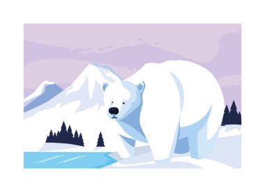 polar bear at the north pole, arctic landscape