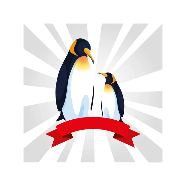 Pingvinek üdvözlő kártya szalaggal — Stock Vector