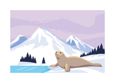 seal at the north pole, arctic landscape