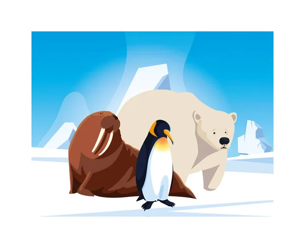 Arktická zvířata na severním pólu, arktická krajina — Stockový vektor