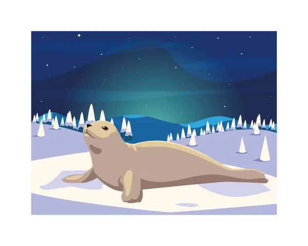 Seal at the north pole, arctic landscape — ストックベクタ