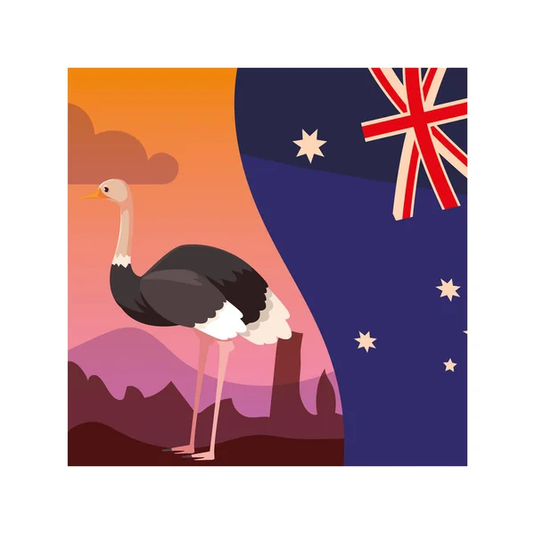 Avestruz con bandera australia en el fondo — Vector de stock