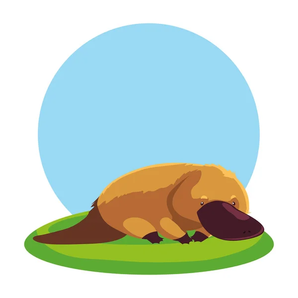 Lindo ornitorrinco australiano con paisaje de fondo — Vector de stock