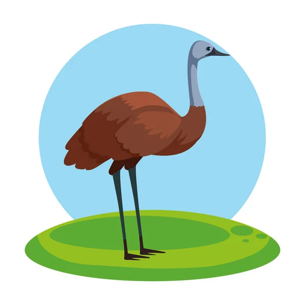 Bonito emu com fundo paisagem — Vetor de Stock