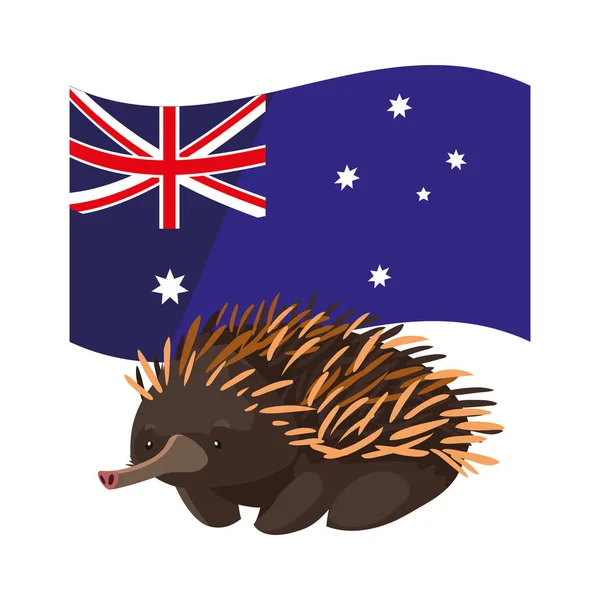 Echidna with australian flag in the background — 스톡 벡터