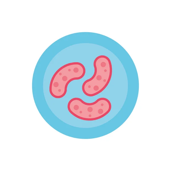 Placa petri con gérmenes bacterianos, icono de estilo plano — Vector de stock