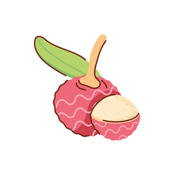 Litchi frukt ikon, platt stil — Stock vektor