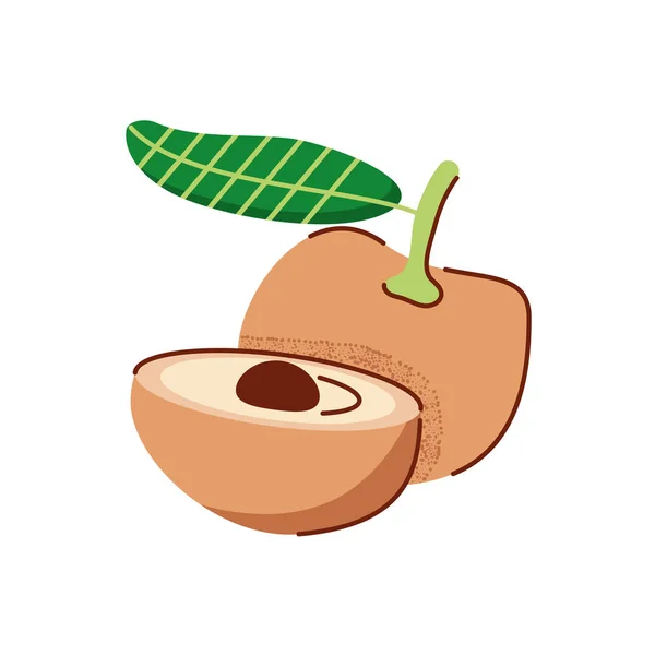 Icono de frutas de melocotón, estilo plano — Vector de stock