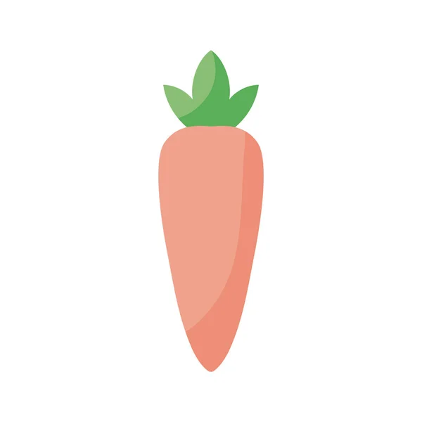 Isolated carrot vegetable flat style icon vector design — Stock Vector