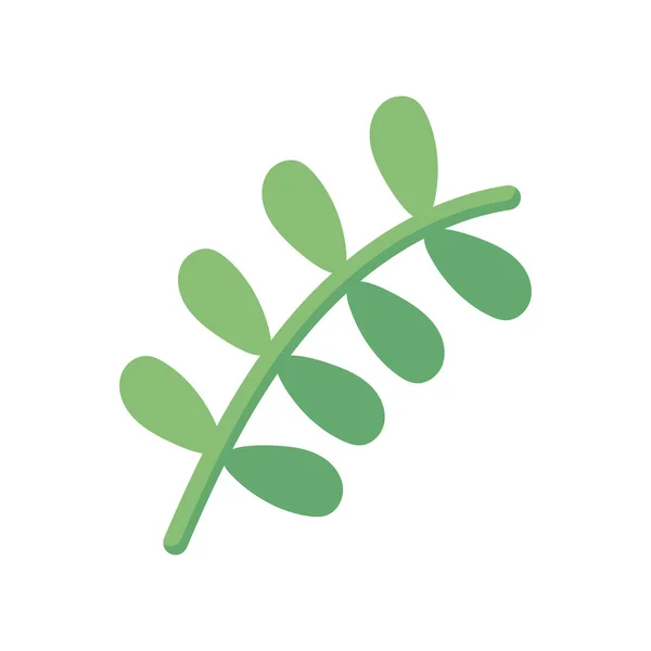 Isolated natural leaf flat style icon vector design — 图库矢量图片