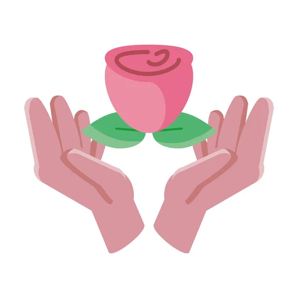 Hands holding an rose with leaf on white background — Stock Vector