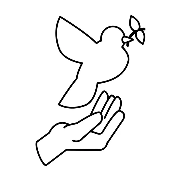 Hands holding a dove on white background — Stock vektor