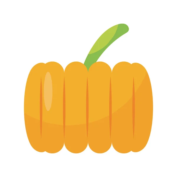 Pumpkin vegetable icon, flat detail style — Stock Vector
