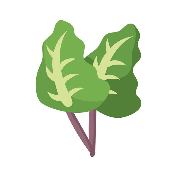 Icono de lechuga, estilo de detalle plano — Vector de stock