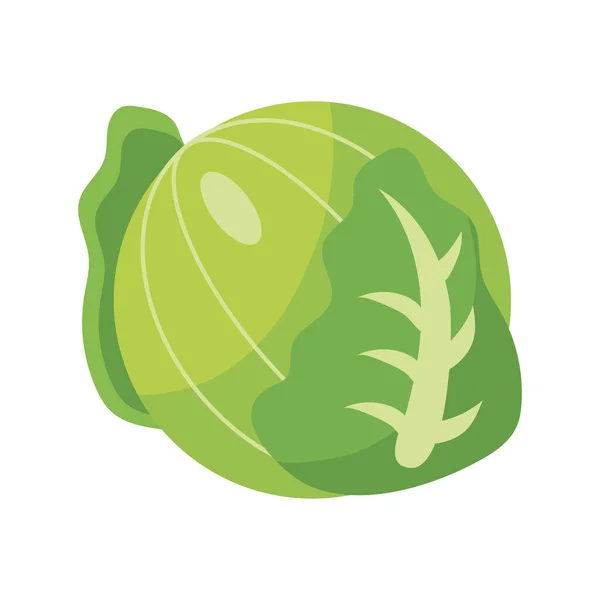 Repollo vegetal icono, estilo de detalle plano — Vector de stock