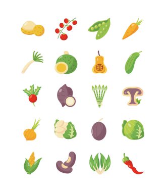 Sağlıklı sebze konsepti konsepti seti, düz ayrıntı biçimi