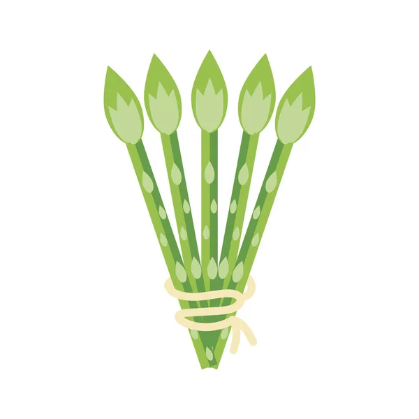 Ikona warzywna szparagów, płaski detal — Wektor stockowy