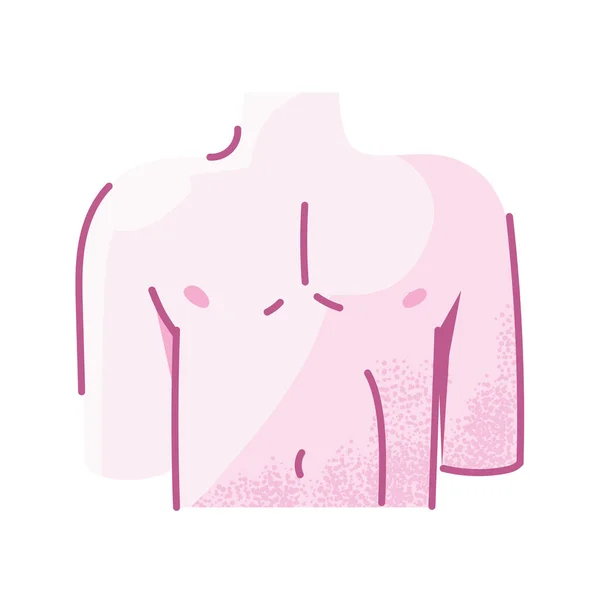 İnsan göğsü, beyaz arka planda vücut parçası — Stok Vektör
