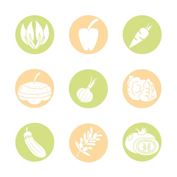 Conjunto de iconos de verduras saludables, bloque de estilo detalle — Vector de stock