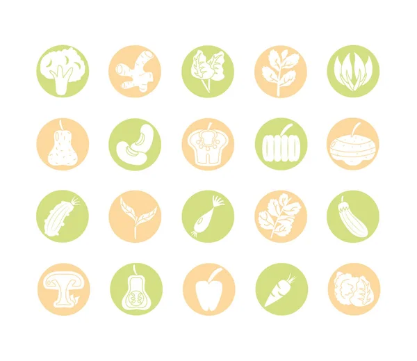 Healthy vegetables icon set, block style — Stock Vector