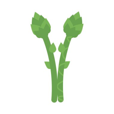 Taze ve sağlıklı sebze, beyaz arka planda kuşkonmaz.