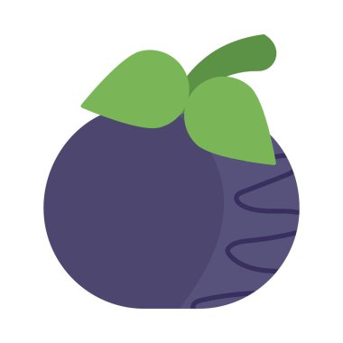 Taze ve sağlıklı sebze, beyaz arka planda pancar.