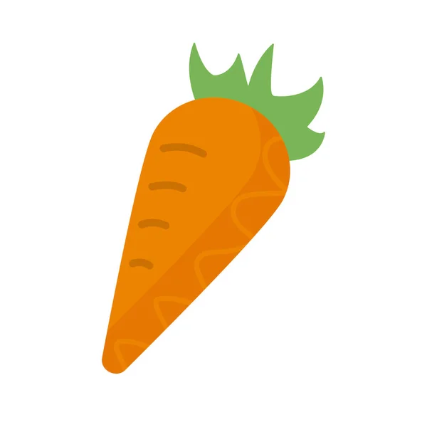 Vegetal fresco e saudável, cenoura no fundo branco — Vetor de Stock