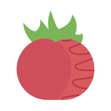 Taze ve sağlıklı sebze, beyaz arka planda domates.