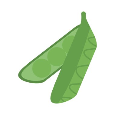 Taze ve sağlıklı sebze, beyaz arka planda alverja.