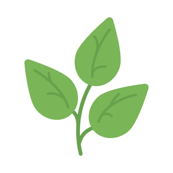 Vegetal fresco y saludable, hojas de apio sobre fondo blanco — Vector de stock