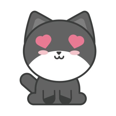 Beyaz arka planda sevimli kedi, kedi evcil