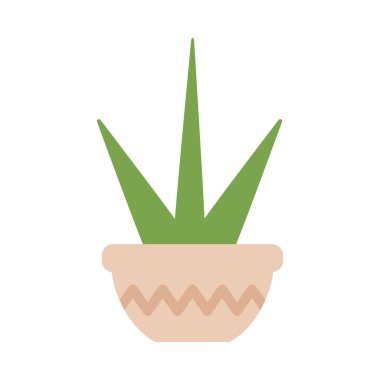 beyaz arka plan üzerinde saksı ile houseplant