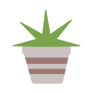 beyaz arka plan üzerinde saksı ile houseplant