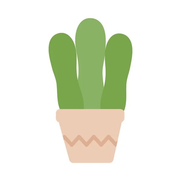 Kaktus med krukväxter på vit bakgrund — Stock vektor