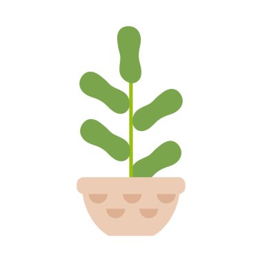 beyaz arka plan üzerinde saksı ile houseplant