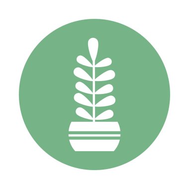 saksı, blok ve düz stil ikonuna sahip ev bitkisi