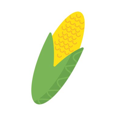 taze ve sağlıklı sebze, beyaz arka planda tatlı mısır