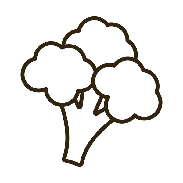 Broccoli su sfondo bianco, icona in stile linea — Vettoriale Stock