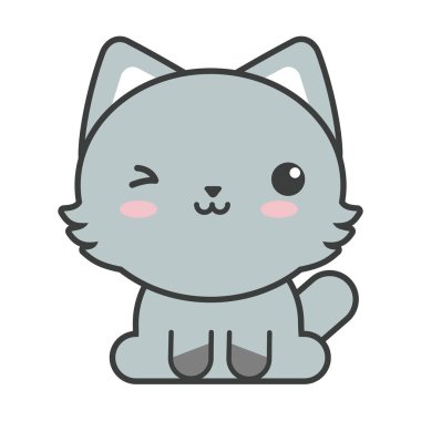 Beyaz arka planda sevimli kedi, kedi evcil