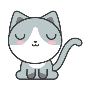 Beyaz arka planda sevimli kedi, kedi evcil